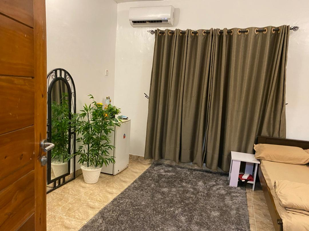 Mini flat room with plants and ornate mirror at Rilwan AJALA Homes Yaba
